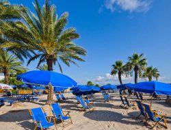 Moody Gardens As A Gateway To Natures Wonders