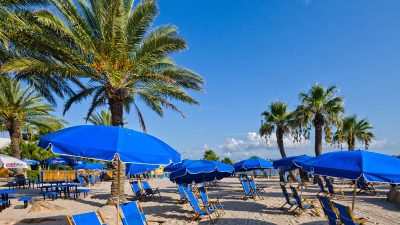 Moody Gardens As A Gateway To Natures Wonders