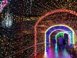 Atlanta Botanical Gardens A Serene Urban Oasis