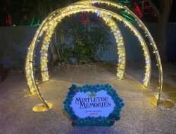 busch gardens tampa bay A Thrilling Adventure Awaits