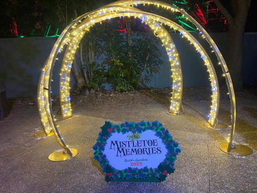 Busch gardens tampa bay