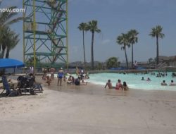 Moody Gardens As A Gateway To Natures Wonders