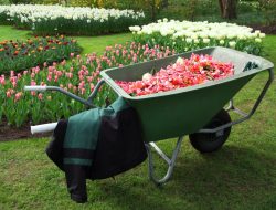 Gardening A Rewarding Journey Into Green Spaces