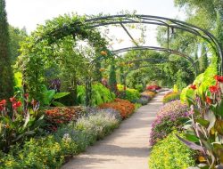 botanical gardens near me Exploring Natures Retreats