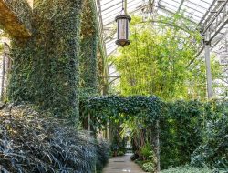 Longwood Gardens A Breathtaking Natural Wonder