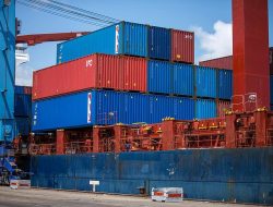 Storage containers for organized living spaces